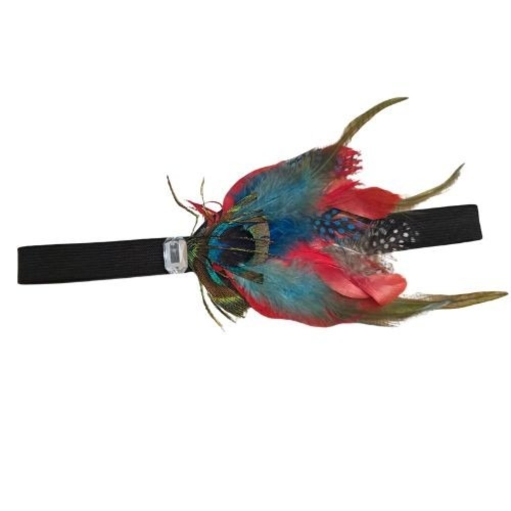 Multicolor Peacock Feather Elastic Headband Boho Flapper Festival Hair Accessory